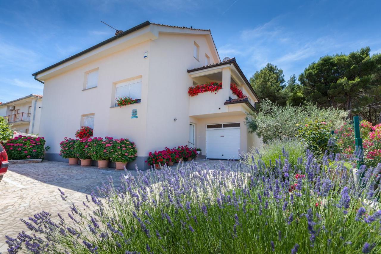 Apartments Hortensia Pula Zewnętrze zdjęcie
